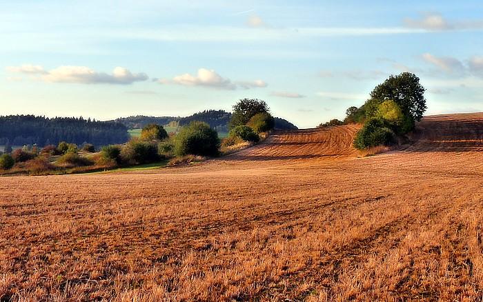 Olešnice na Moravě